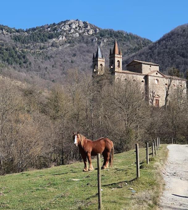 El Mussol De La Vila Camprodon, Balconets Amb Vistes A La Placa エクステリア 写真